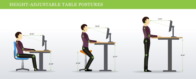 good sitting standing posture workplace ergonomics