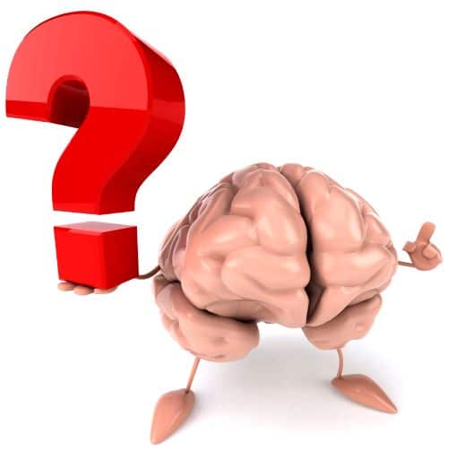 questions about the brain